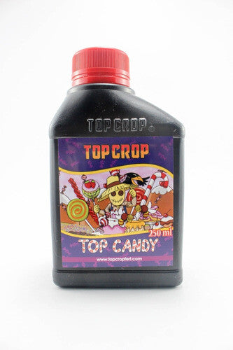 TOP CANDY TOP CROP