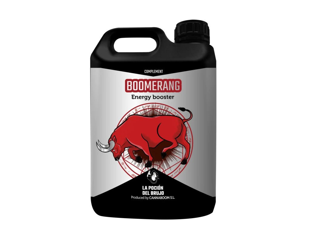 CANNABOOM BRUJO BOOMERANG