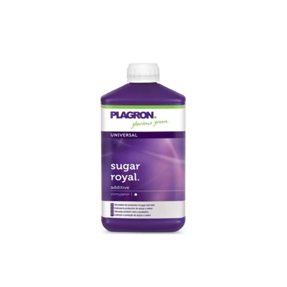 SUGAR ROYAL PLAGRON