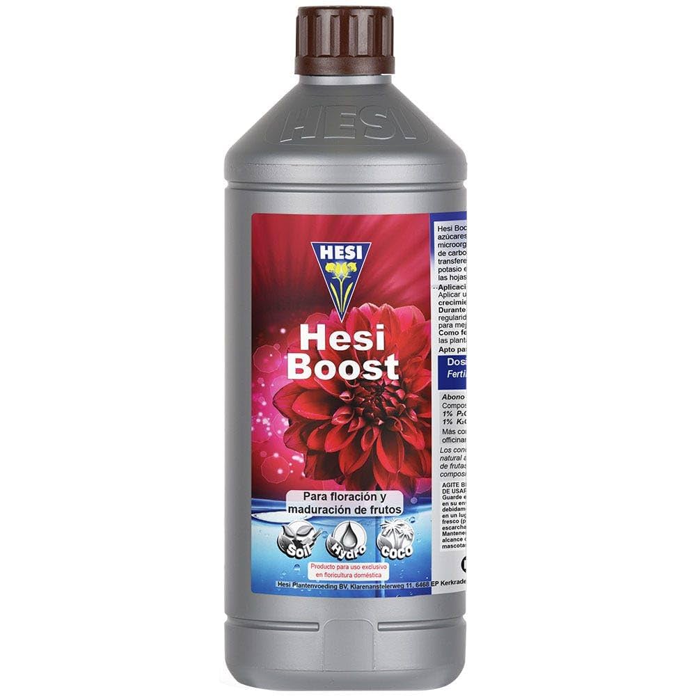 HESI BOOST