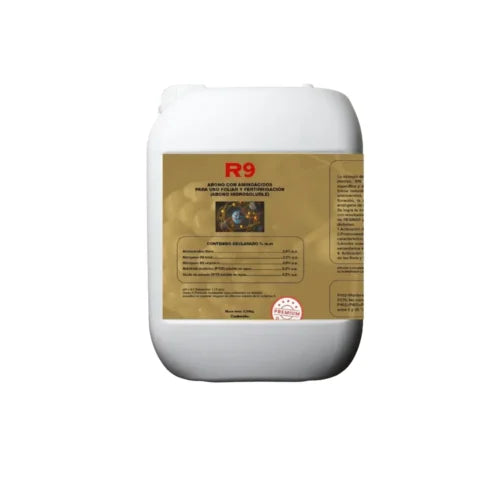 ANARKIA81 R9