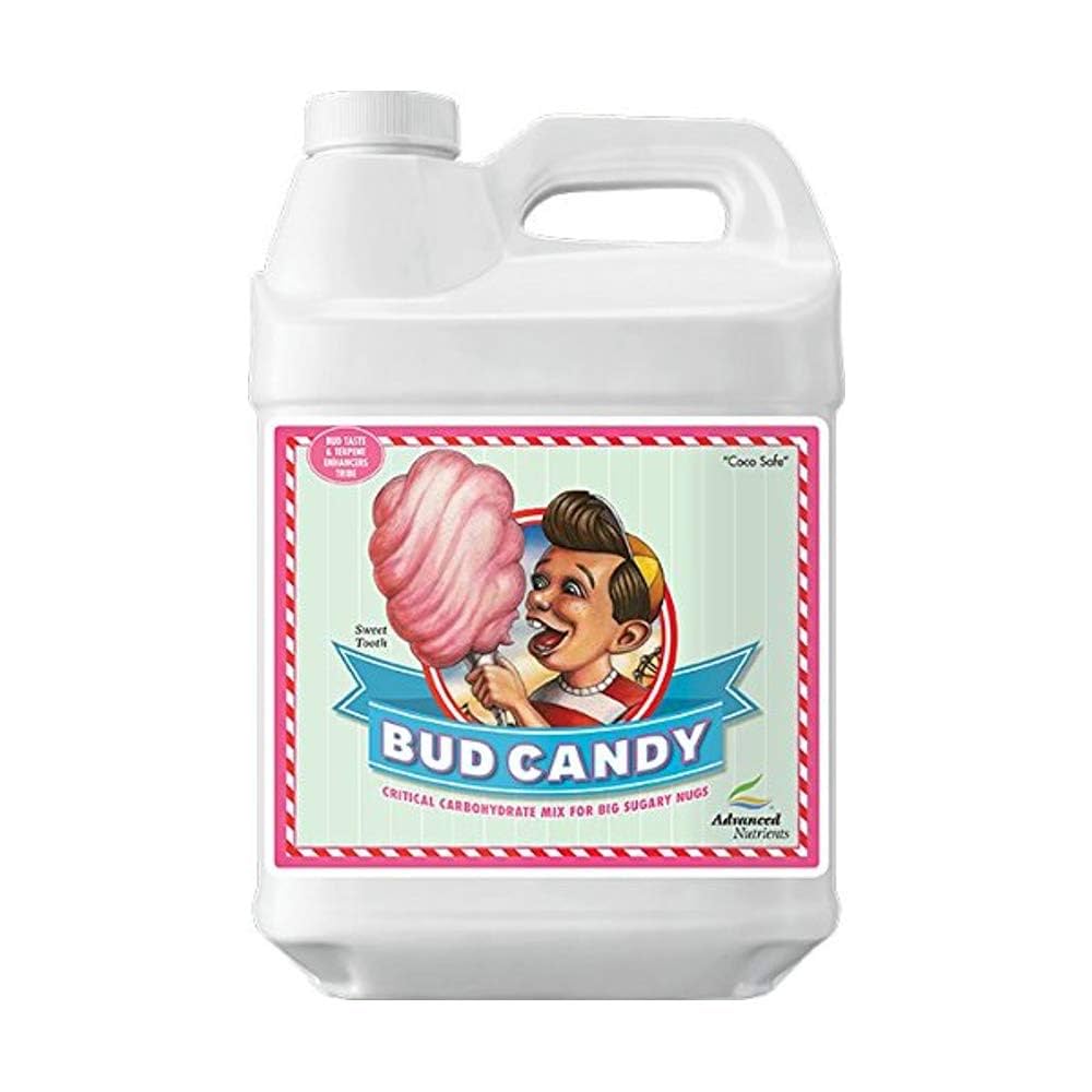 BUD CANDY