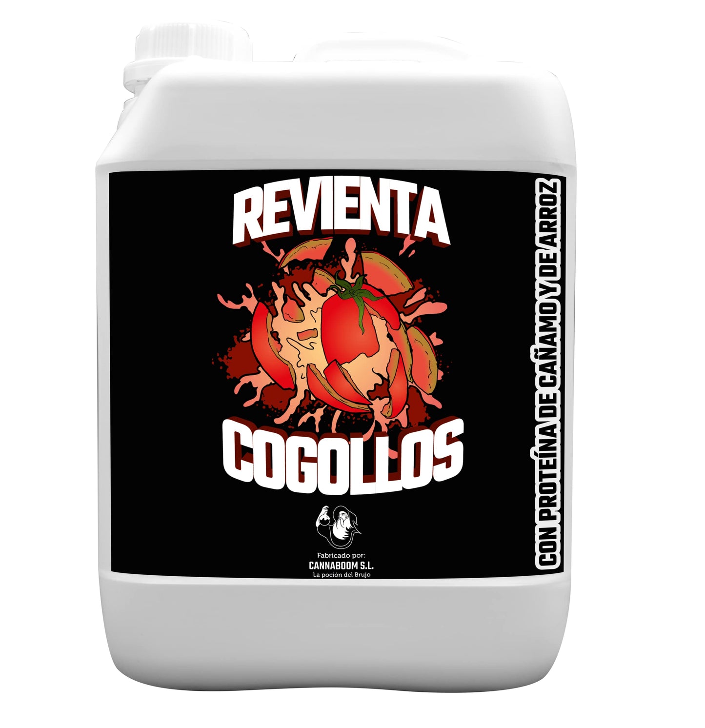 REVIENTA COGOLLOS BRUJO