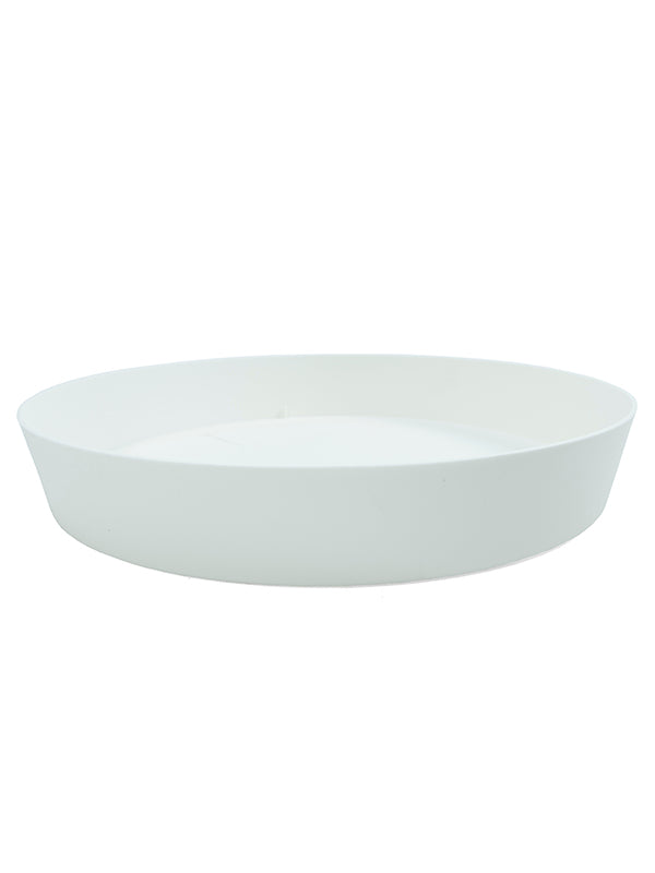 Plato Tes