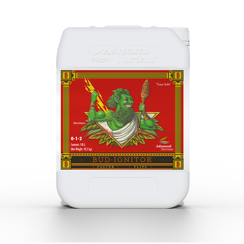 BUD IGNITOR