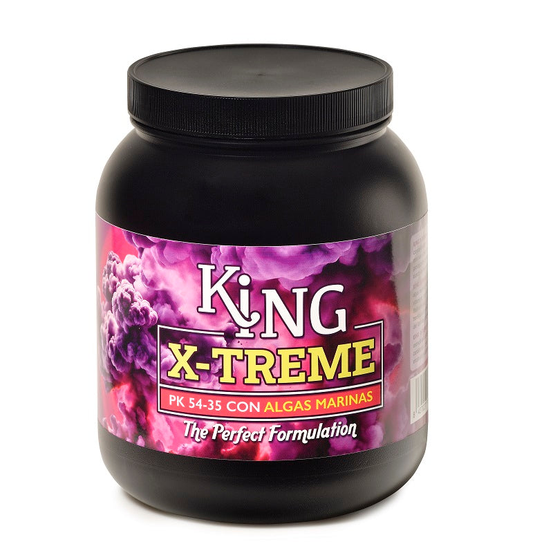 KING X-TREME TRABE