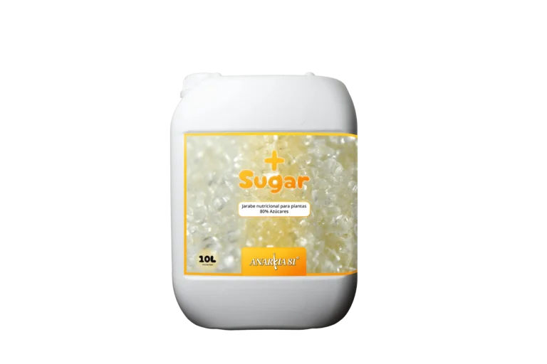 ANARKIA81 More Sugar