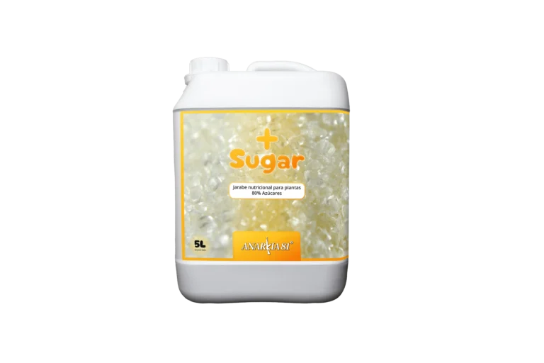 ANARKIA81 More Sugar