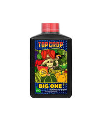 BIG ONE TOP CROP