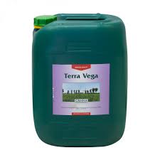 CANNA TERRA VEGA