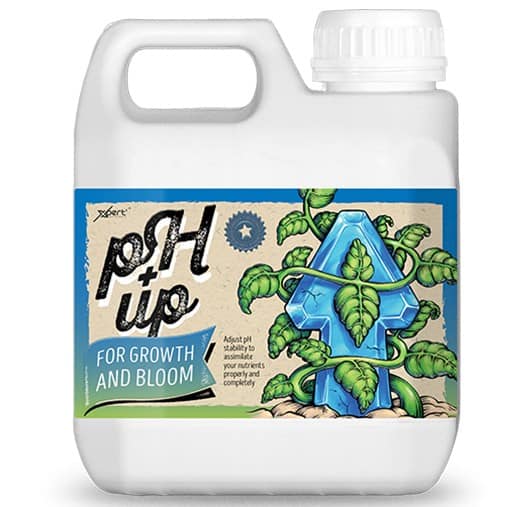 XPERT PH UP 1L