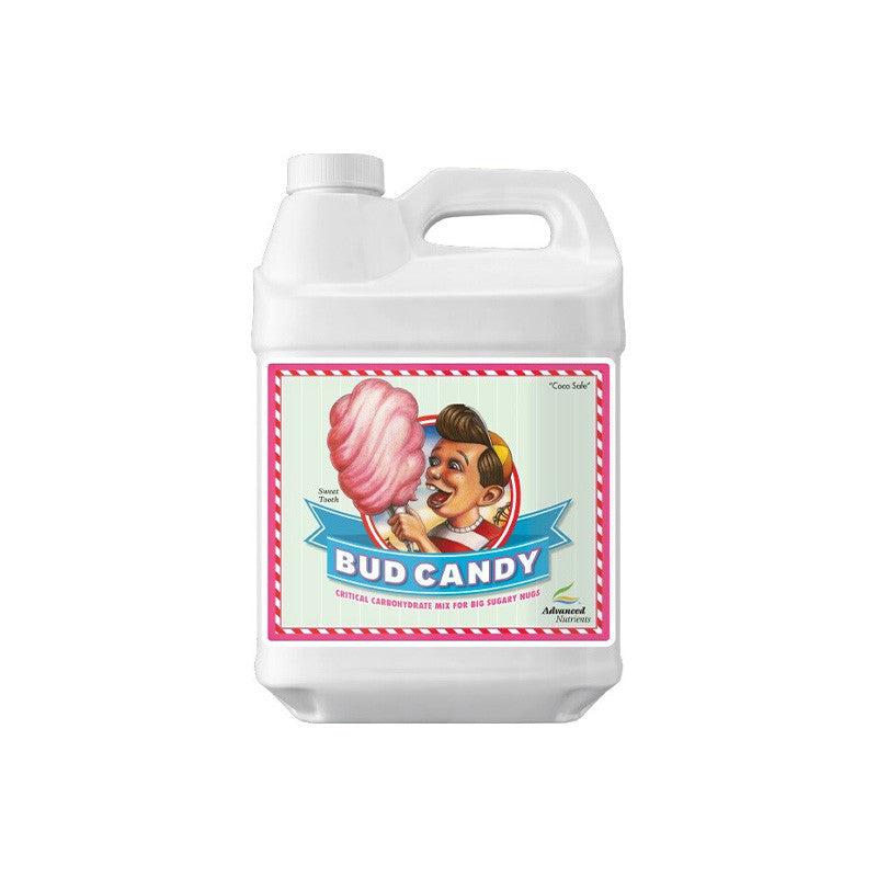 BUD CANDY