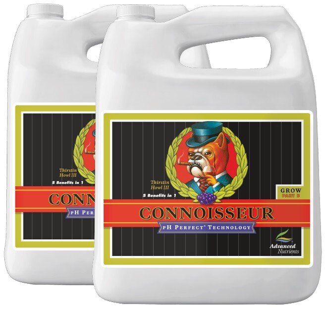 CONNOISSEUR BLOOM