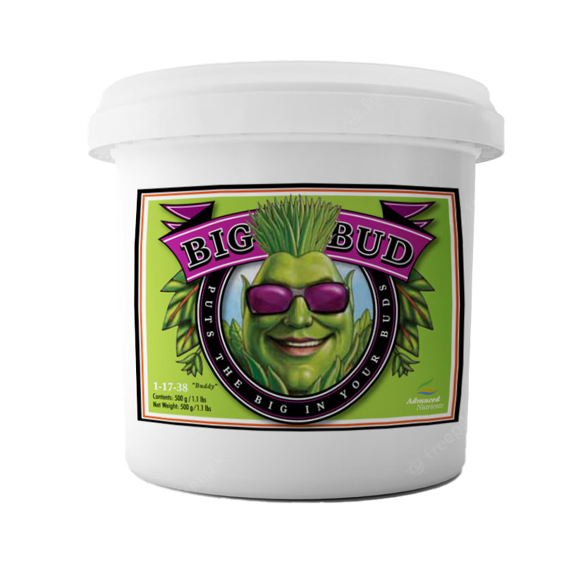 BIG BUD POLVO