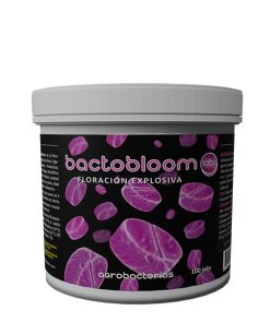 BACTOBLOOM