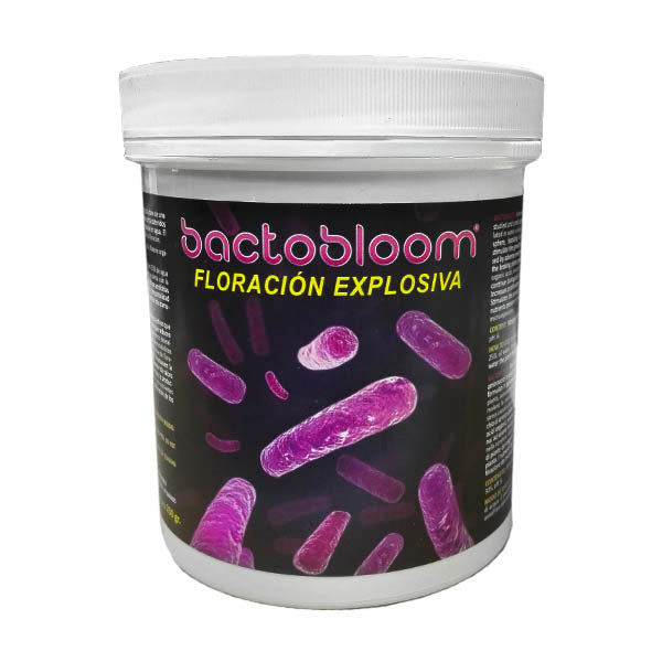 BACTOBLOOM