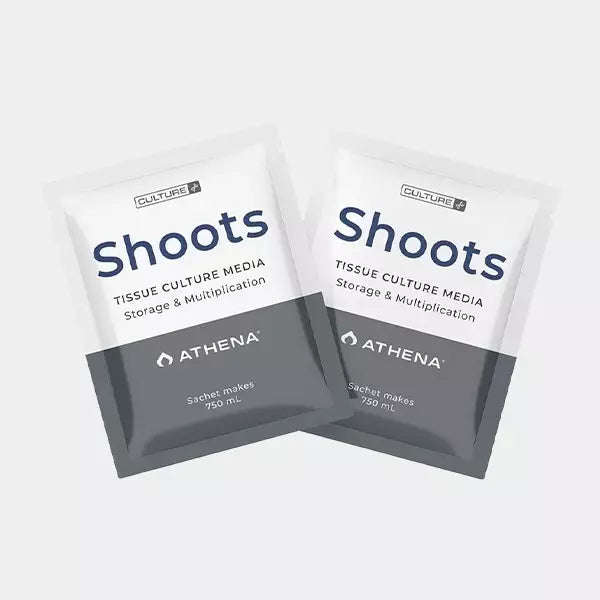 Athena Shoots Culture Media