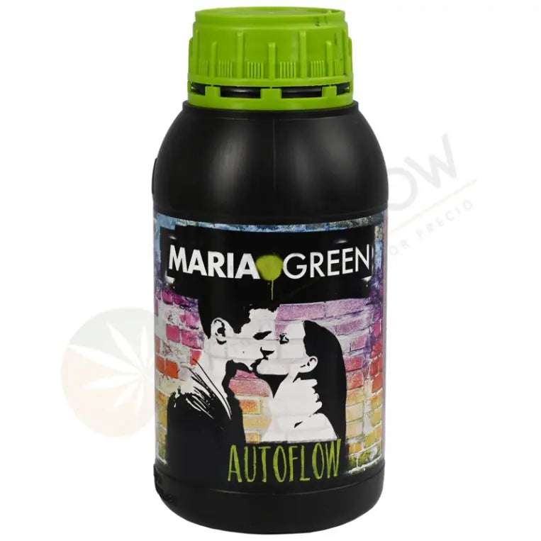 AUTOFLORECIENTE MARIA GREEN