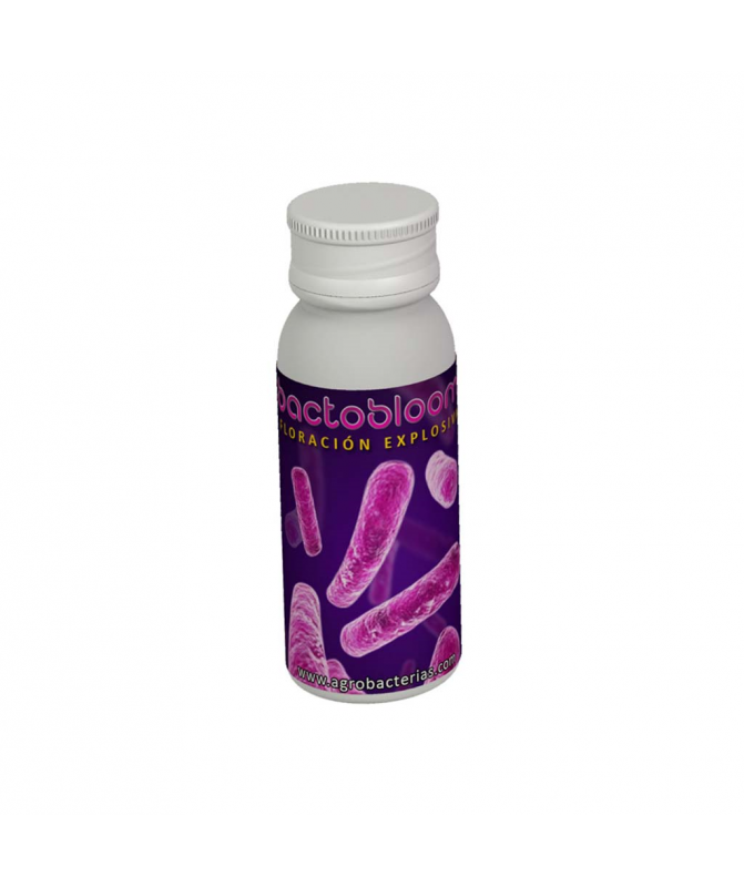 BACTOBLOOM