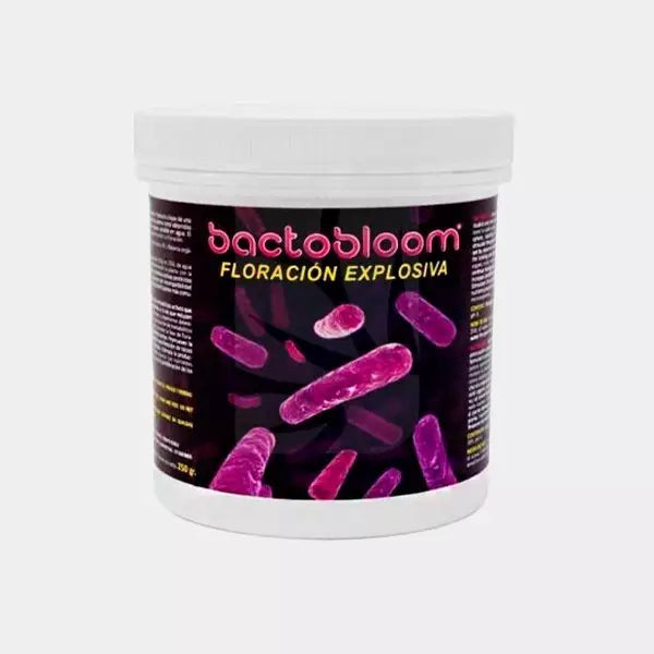 Bactobloom Floración
