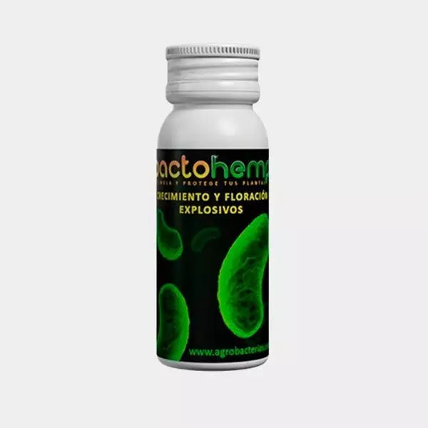 Bactohemp crecimiento
