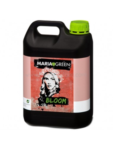 BLOOM MARIA GREEN