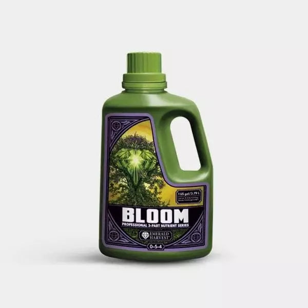 Bloom Prof 3 Partes
