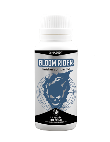 BLOOM RIDER BRUJO
