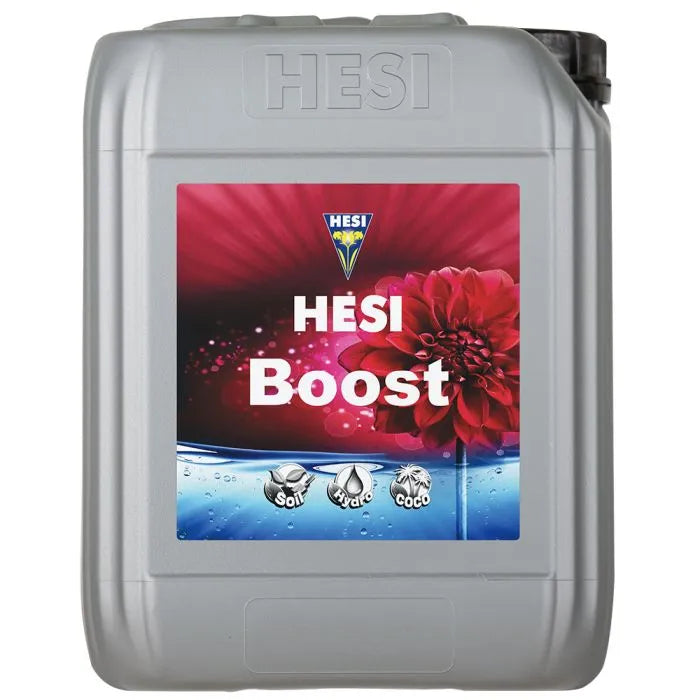 HESI BOOST