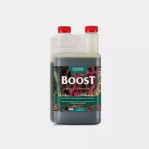 Boost Accelerator
