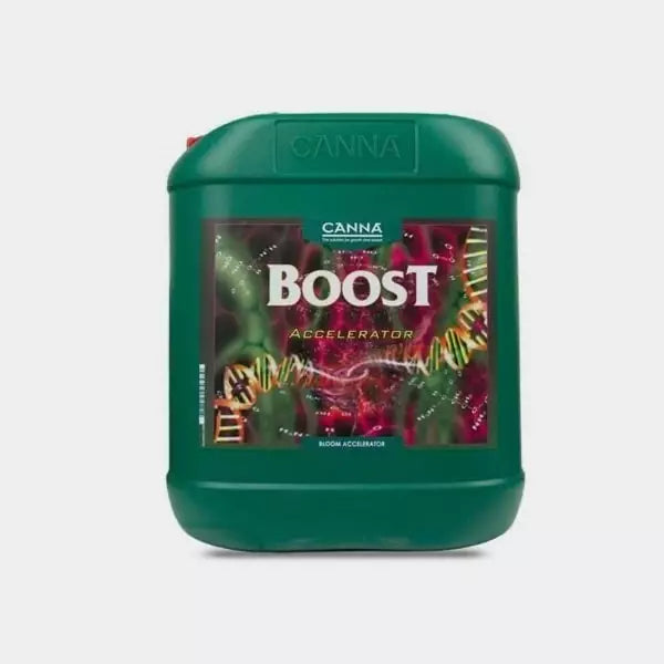 Boost Accelerator