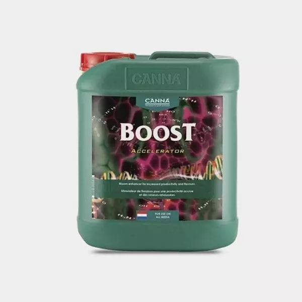 Boost Accelerator