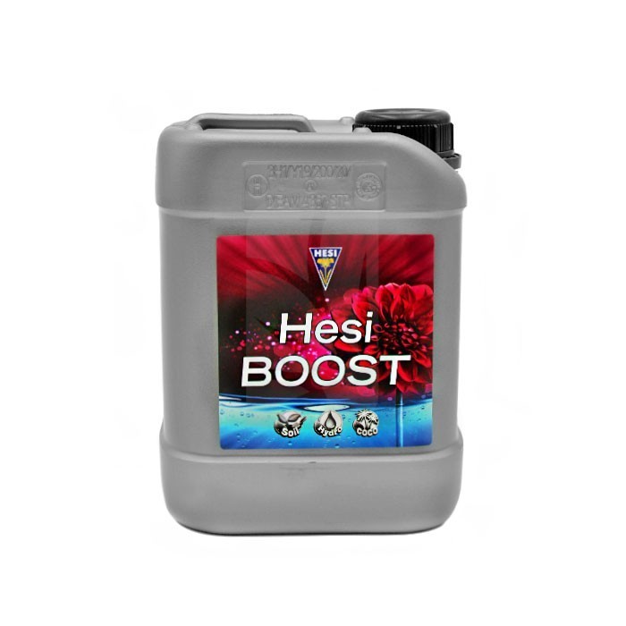 HESI BOOST