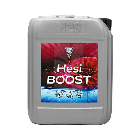 HESI BOOST