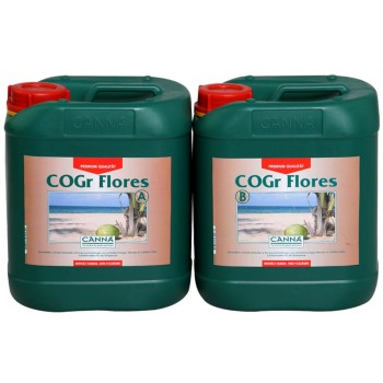 CANNA COGR FLORES