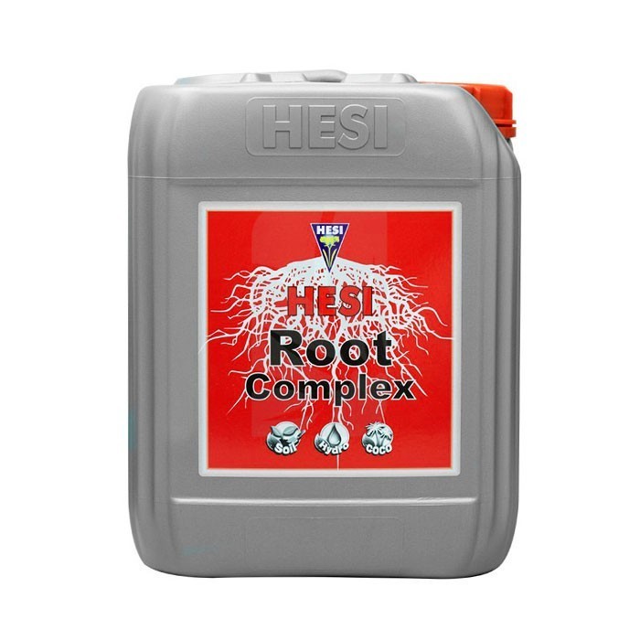 HESI RADICULAR