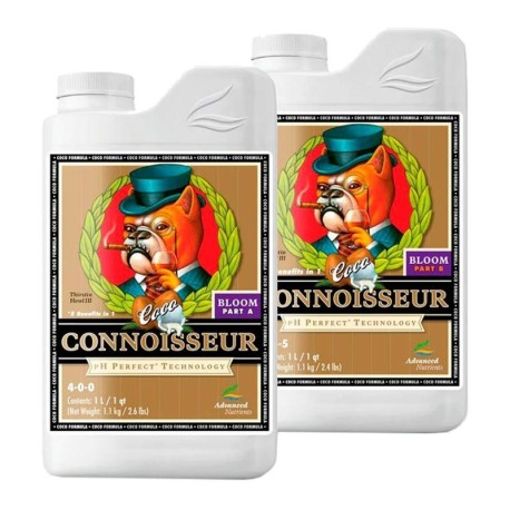 CONNOISSEUR COCO BLOOM