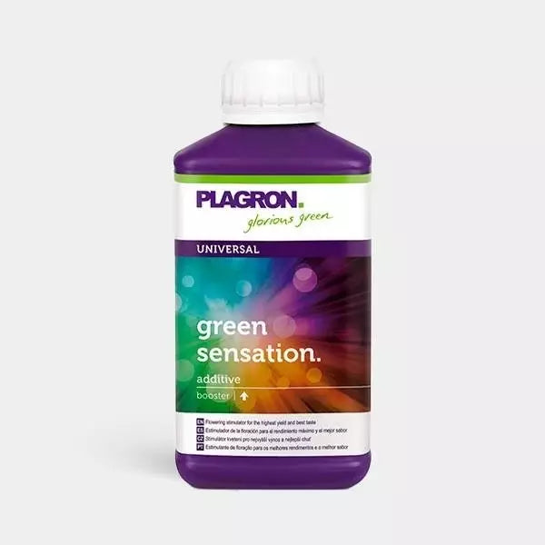 Green Sensation