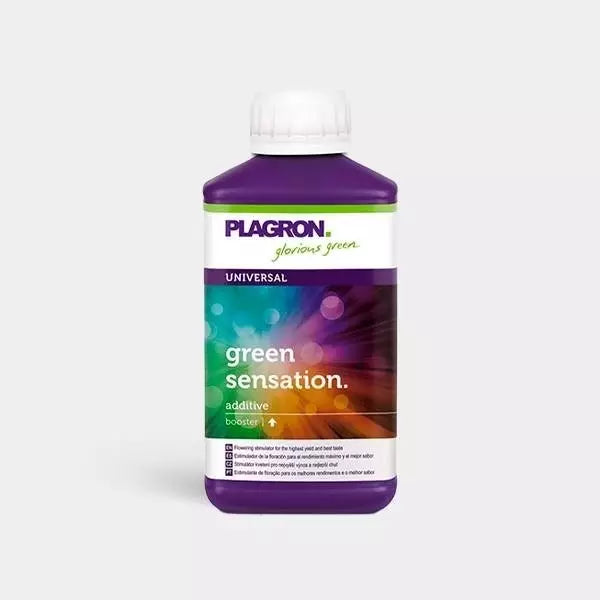 Green Sensation