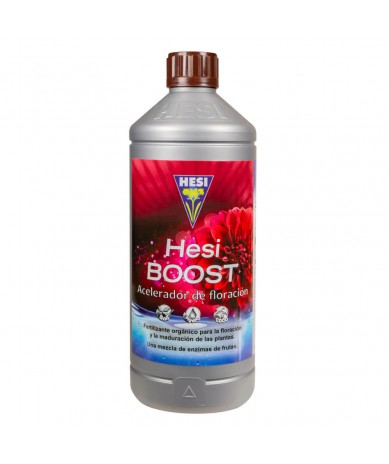 HESI BOOST