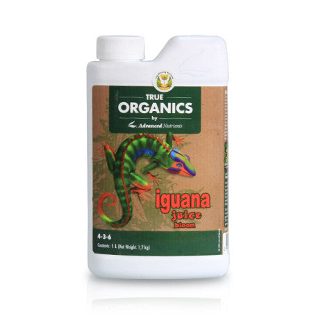 IGUANA JUICE BLOOM