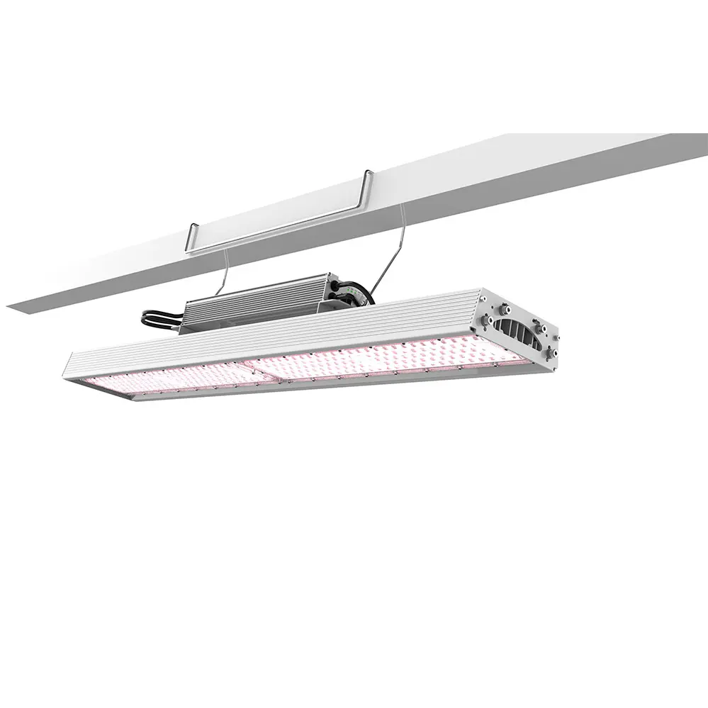 RISEN GREEN 660W LED TOP LIGHTING COMPACT