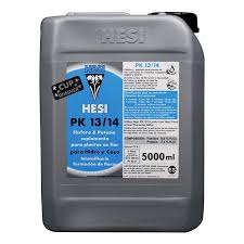 HESI PK 13-14