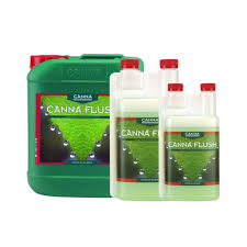CANNA FLUSH