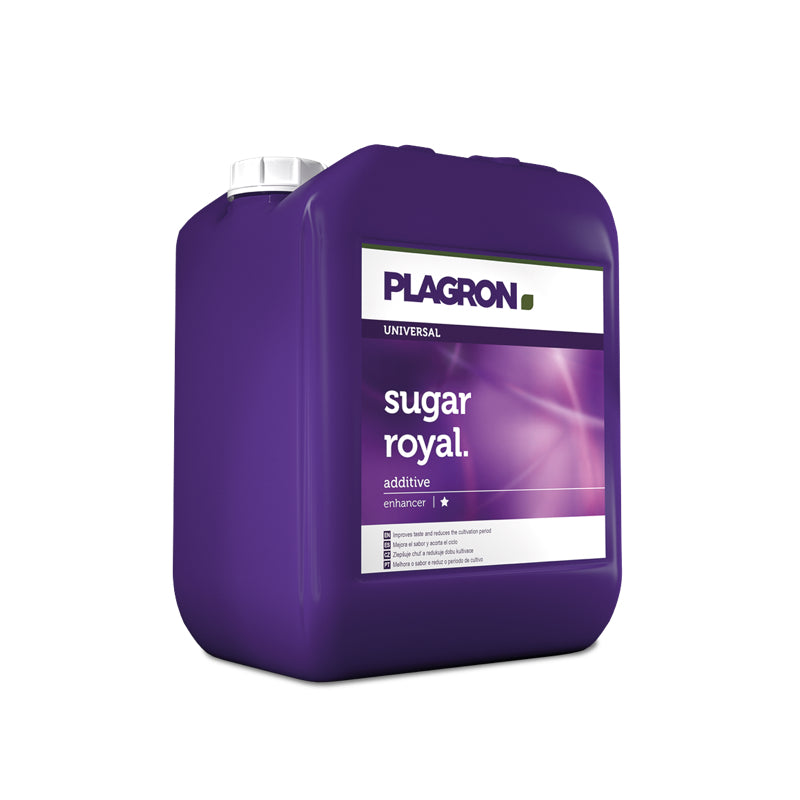 SUGAR ROYAL PLAGRON