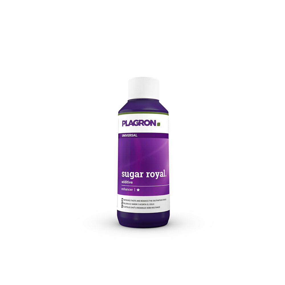SUGAR ROYAL PLAGRON