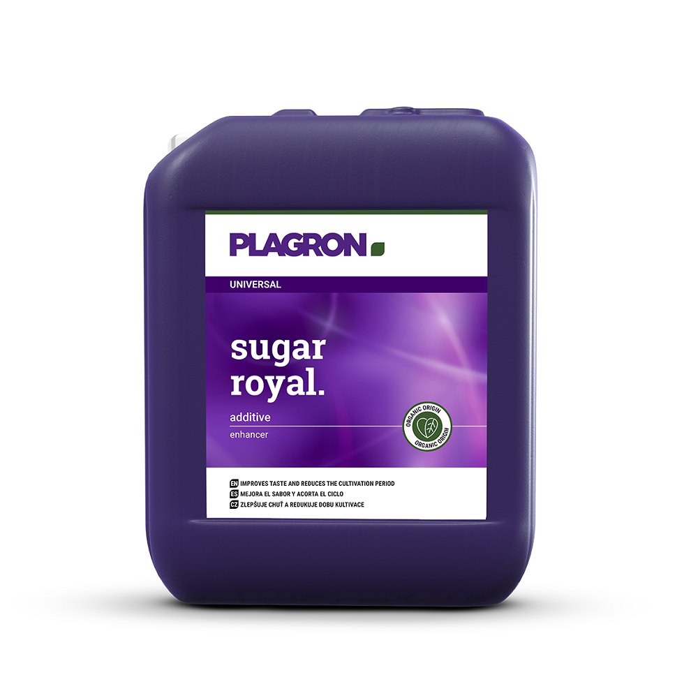 SUGAR ROYAL PLAGRON