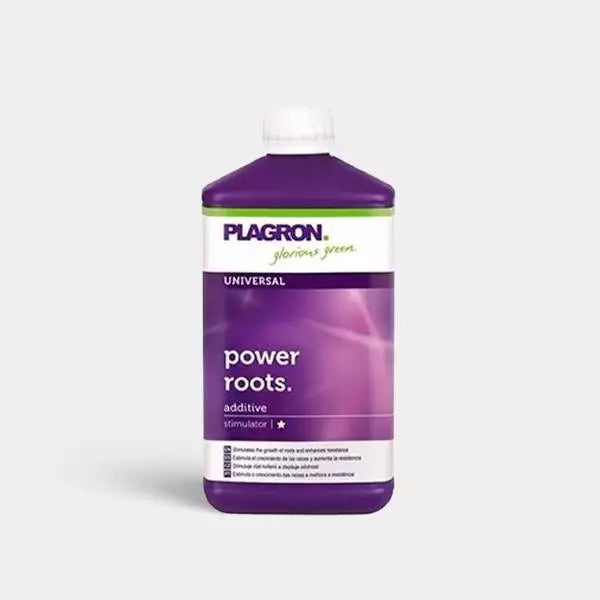 Power Roots