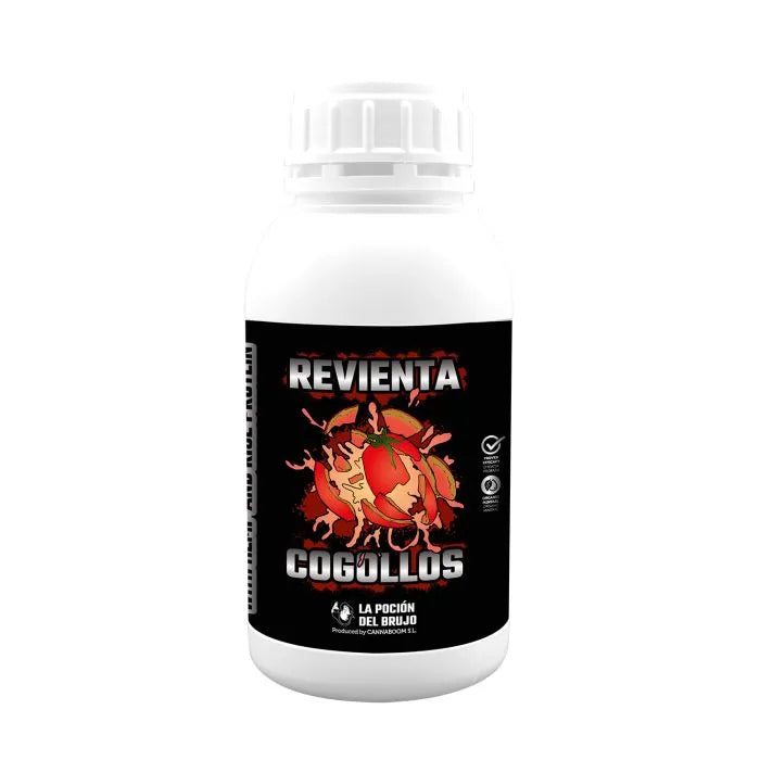 REVIENTA COGOLLOS BRUJO