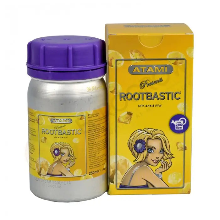 ROOTBASTIC B'CUZZ ATAMI